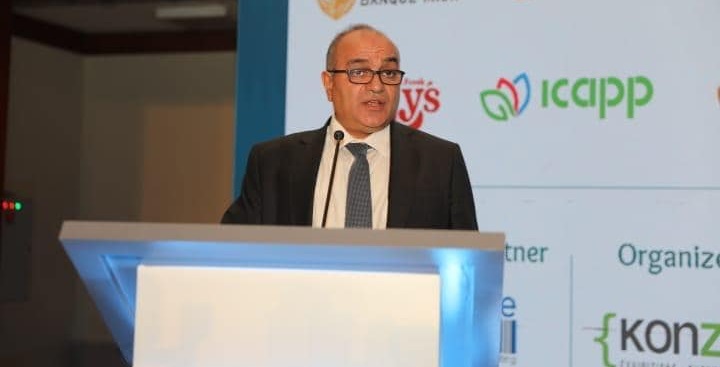 Egypt allocates EGP 67B to support over 3,000 exporting companies since 2019

